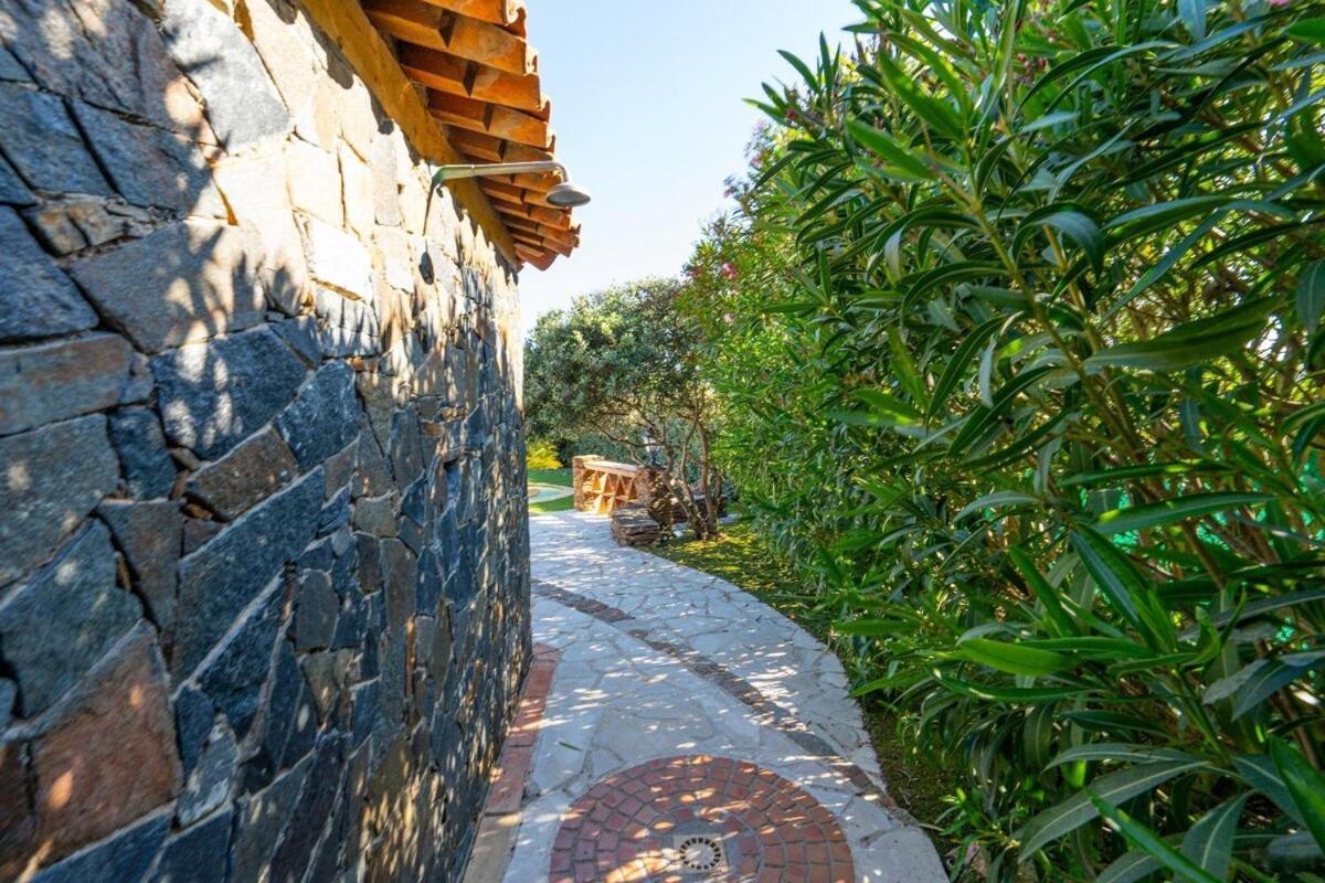 Luxueuse Vue Vignes Avec Piscine Et Terrain De Petanque *